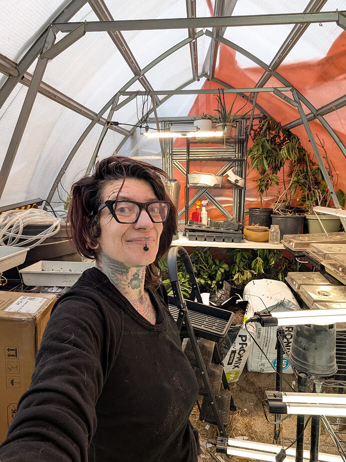 PXL_20260203_171721581