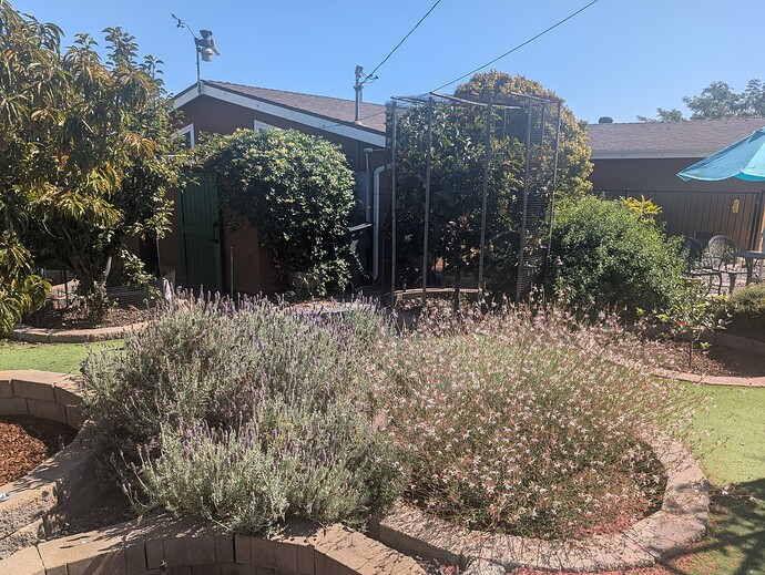 PXL_20251011_202654786