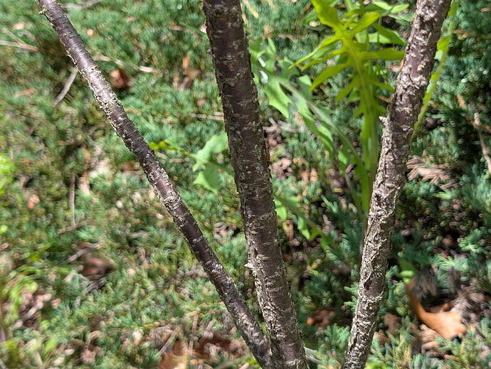 PXL_20260528_173132088