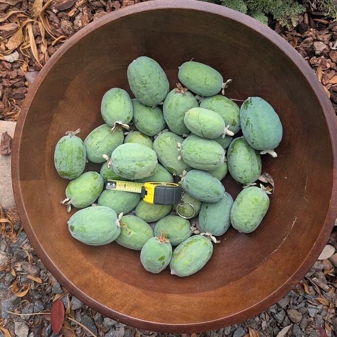 PXL_20250922_192137127