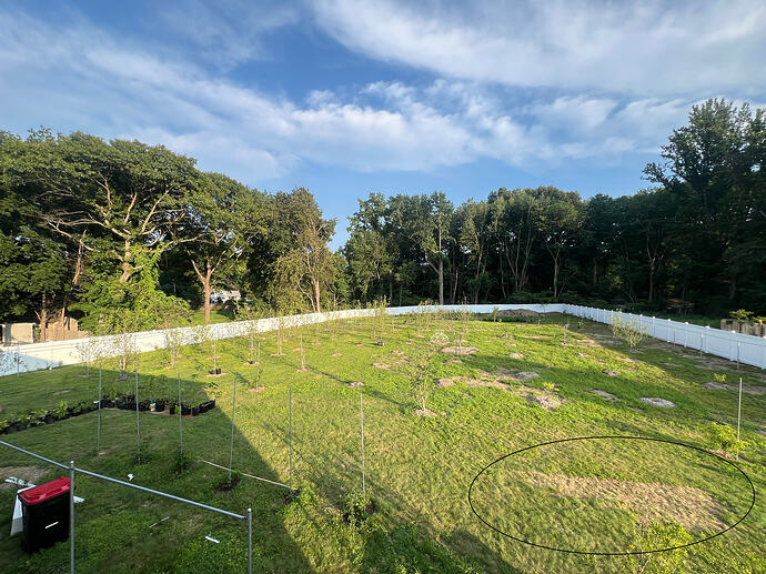 Yard_07-26-2026
