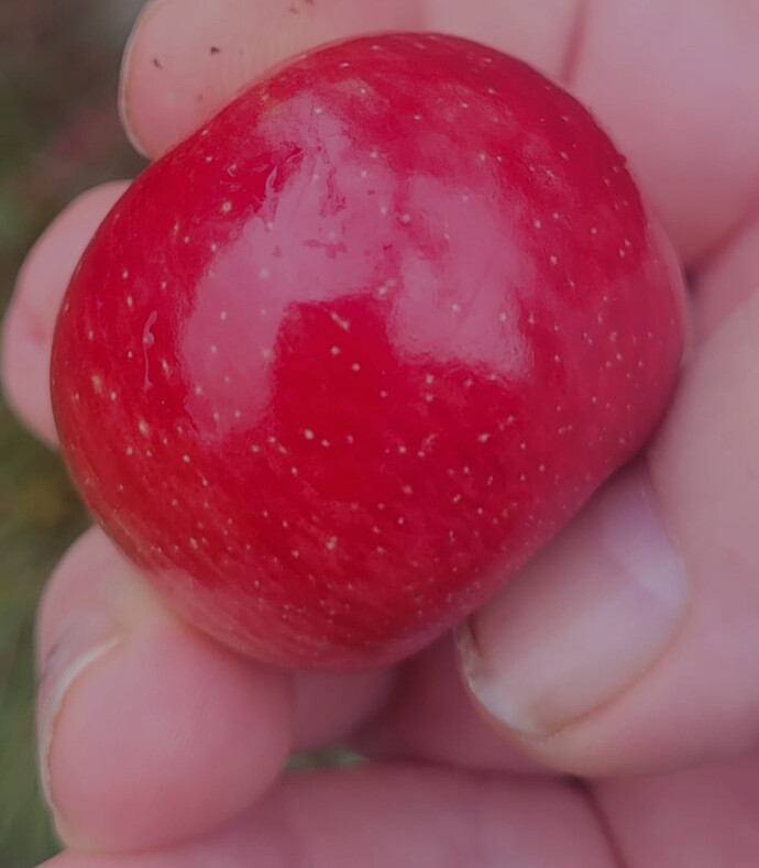 Screenshot_20250903_151623_Samsung Internet