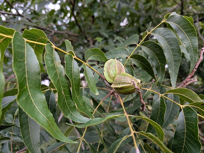 PXL_20250914_225412622