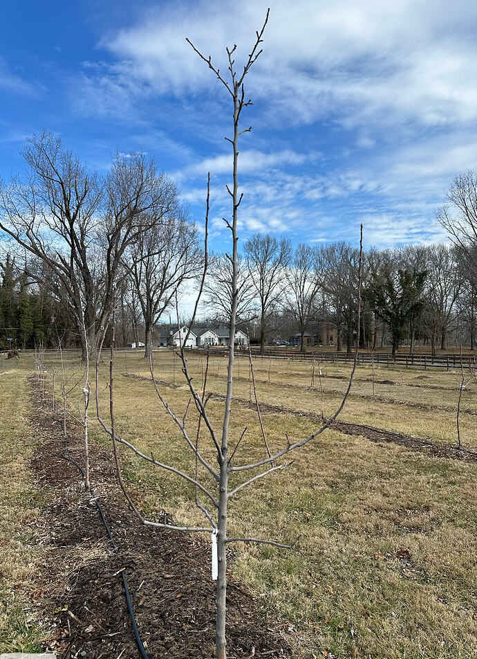 Screen Shot 2026-03-02 at 3.29.19 PM