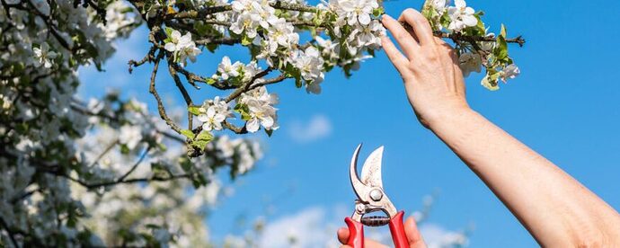 banner-events-875x350