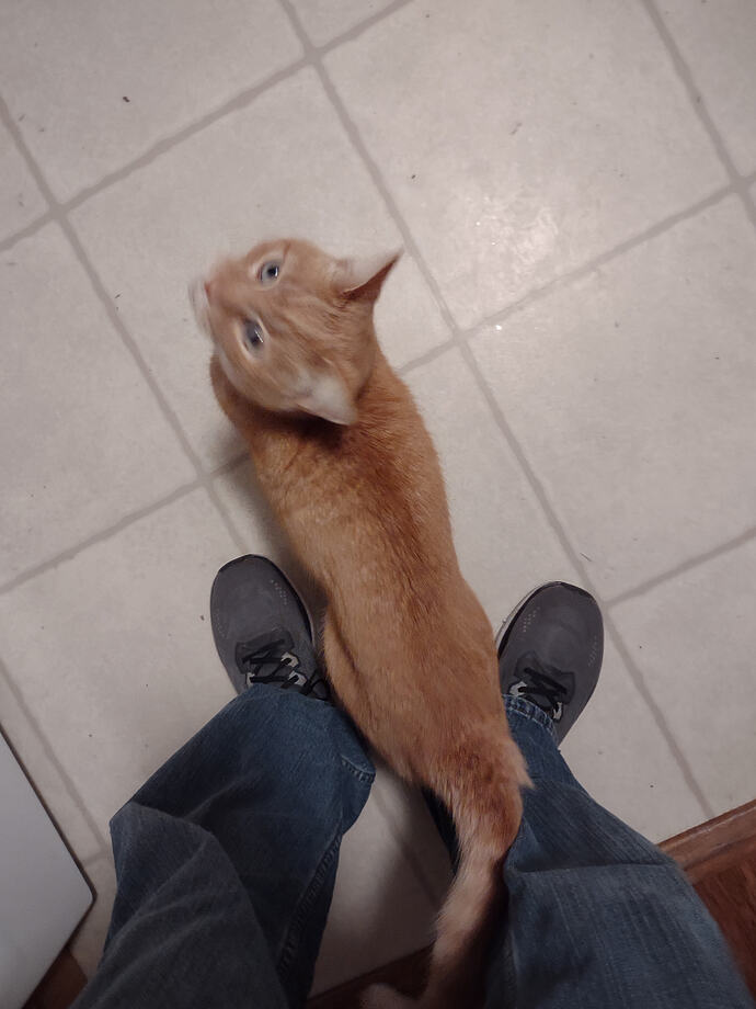 IMG_20251111_060355375