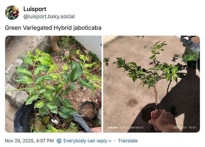 WhatsApp Image 2025-11-29 at 16.07.42