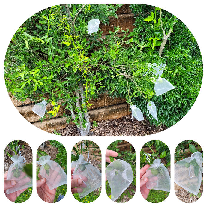 MixCollage-29-Jul-2026-03-01-PM-863