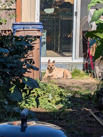 PXL_20251003_194804237