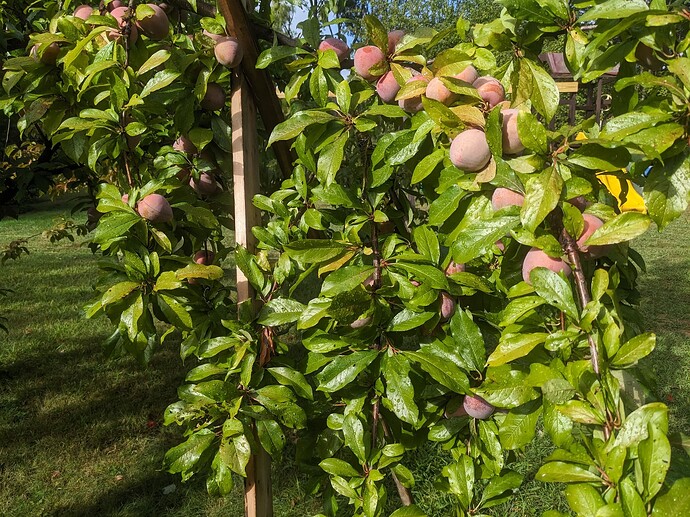 PXL_20250827_130822491