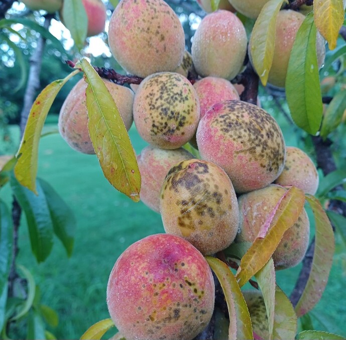 Screenshot_20250818_002426_Gallery