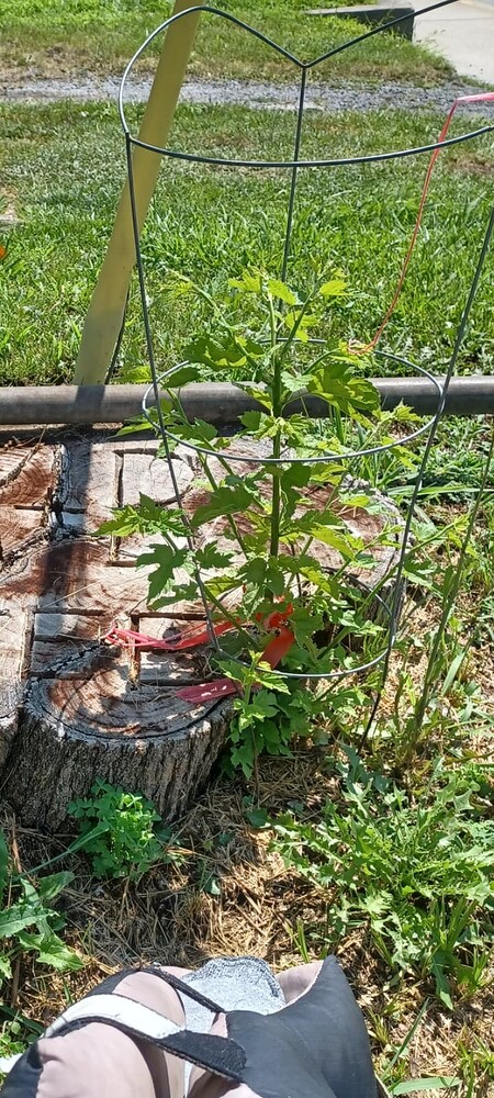 Screenshot_20250710_145346_Gallery