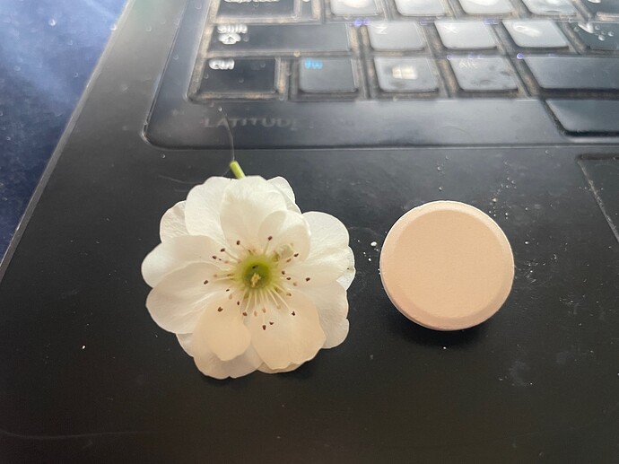 triflower