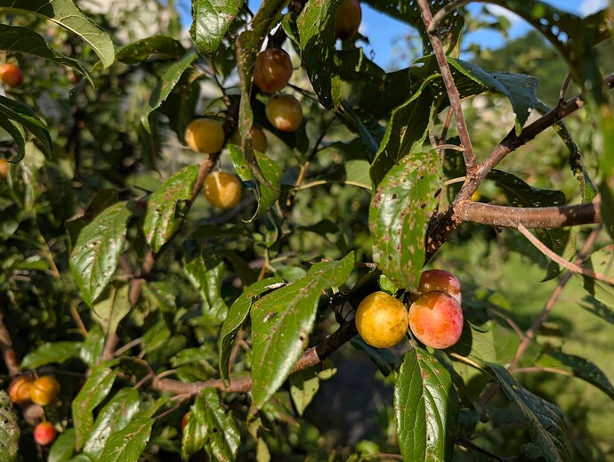 PXL_20250808_214612412