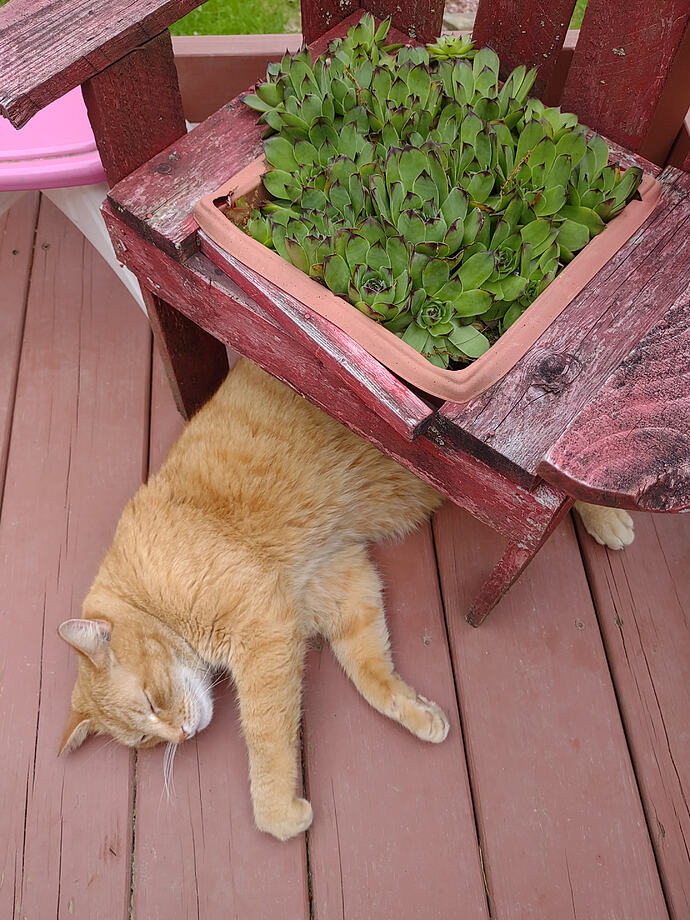 IMG_20250515_192700323