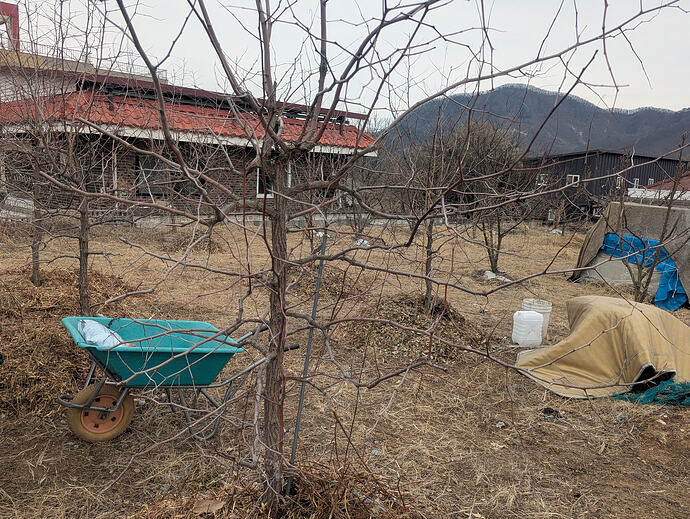 PXL_20260301_043628700