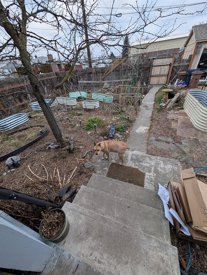 PXL_20260118_234255142