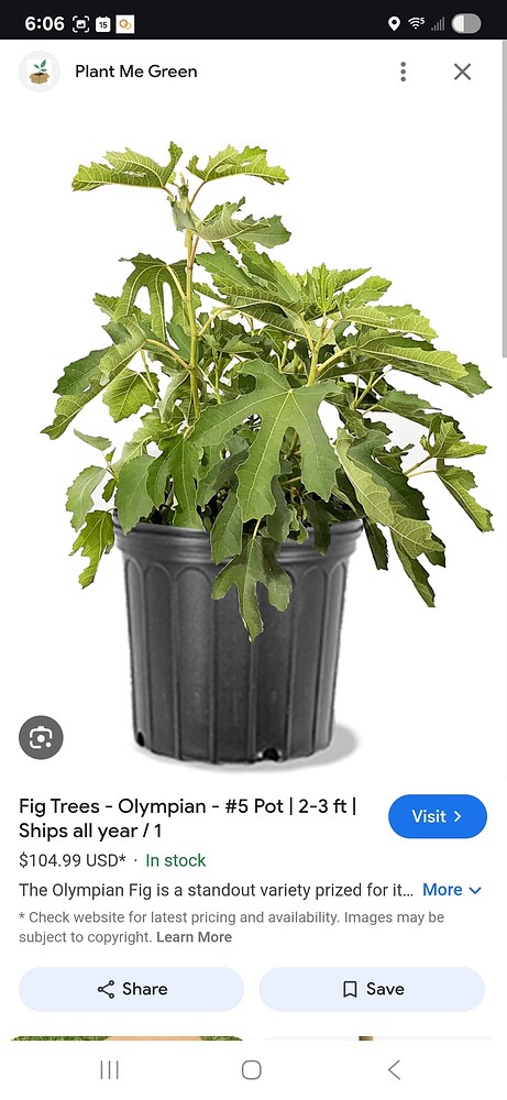 Screenshot_20250715_180637_Chrome