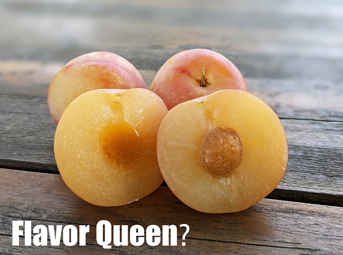 Flavor Queen_2025
