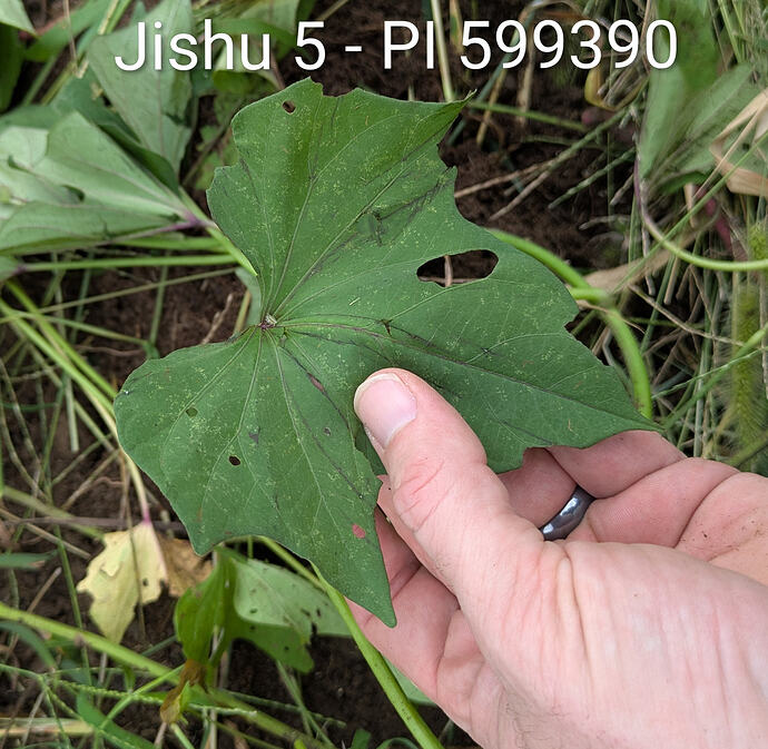 PXL_20260912_210957468~2