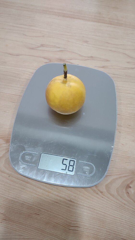 IMG_20251207_124313992