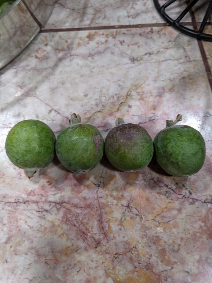 PXL_20251114_033059497