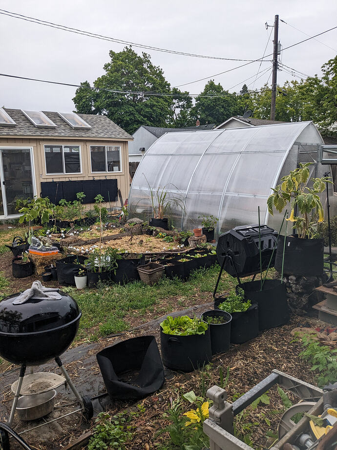 PXL_20240603_004043524