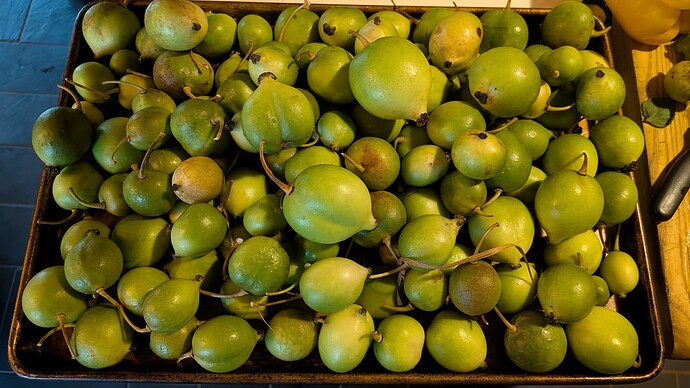 Tray of mayapples