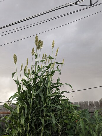 PXL_20240925_231828602