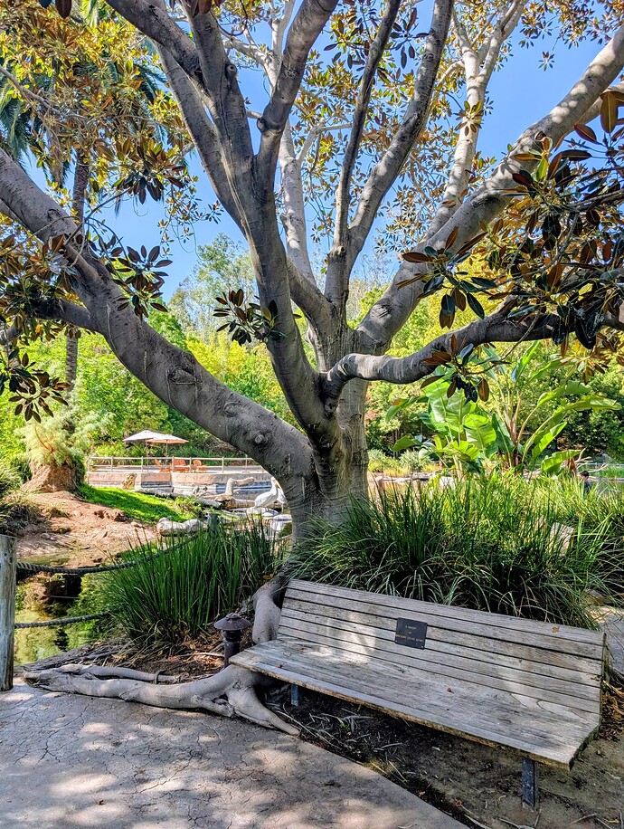 PXL_20251022_202540650~2