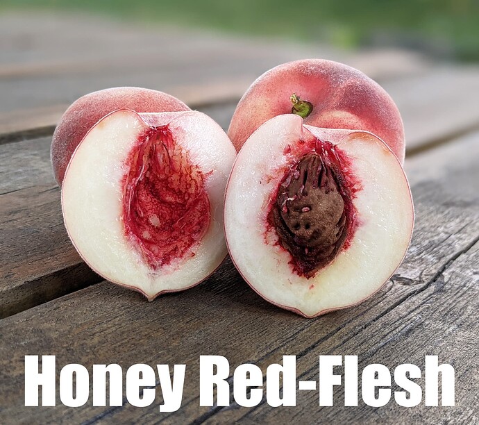 Honey Red Flesh_2025