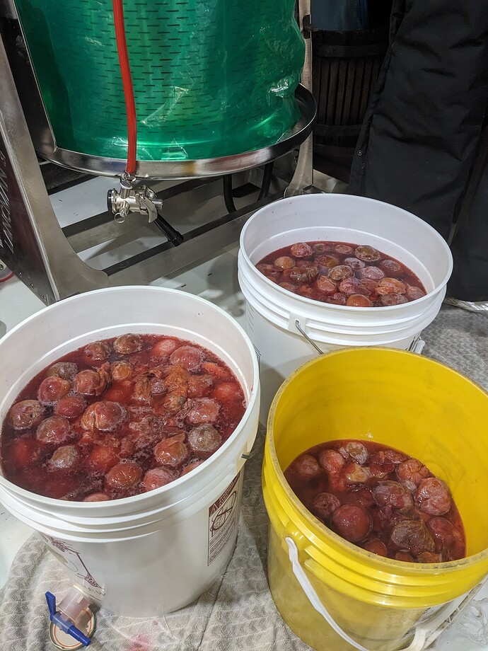 PXL_20251212_012436898