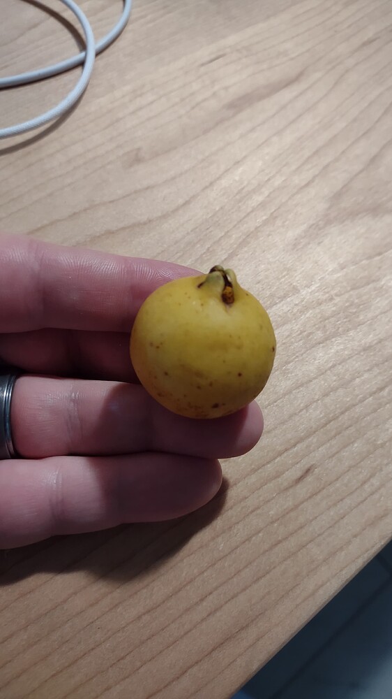 IMG_20250819_201027946