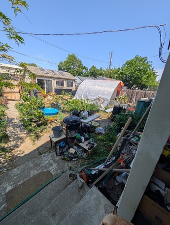 PXL_20250616_204900673