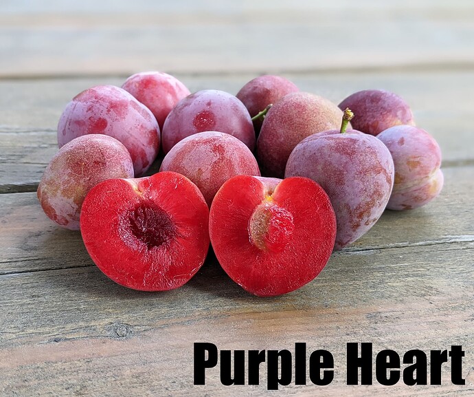 Purple Heart_2025