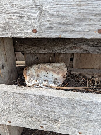 PXL_20250624_230505954