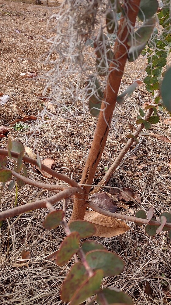 IMG_20251209_112144328_HDR