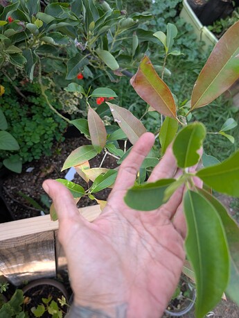 PXL_20250814_232626812