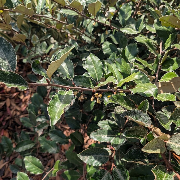 PXL_20251212_192917393