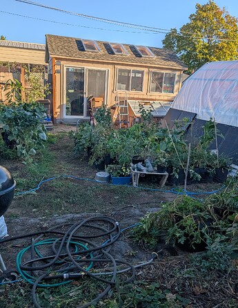 PXL_20251007_153357943