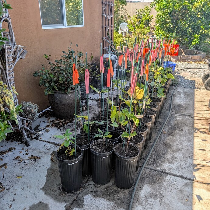 PXL_20250901_215735629~2