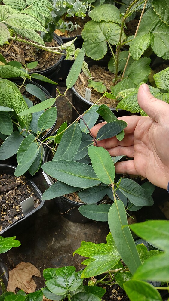 IMG_20251208_212022555_HDR