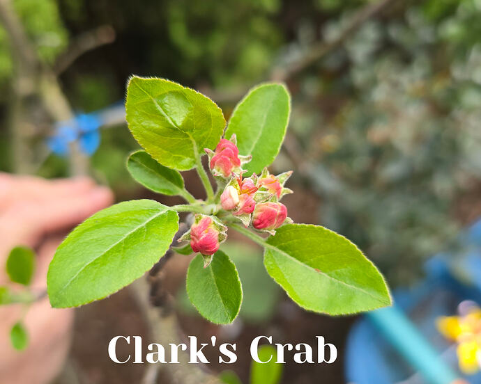 20260402_104122 (2026-04-04T14_31_13.384)