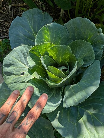 PXL_20250724_221138666