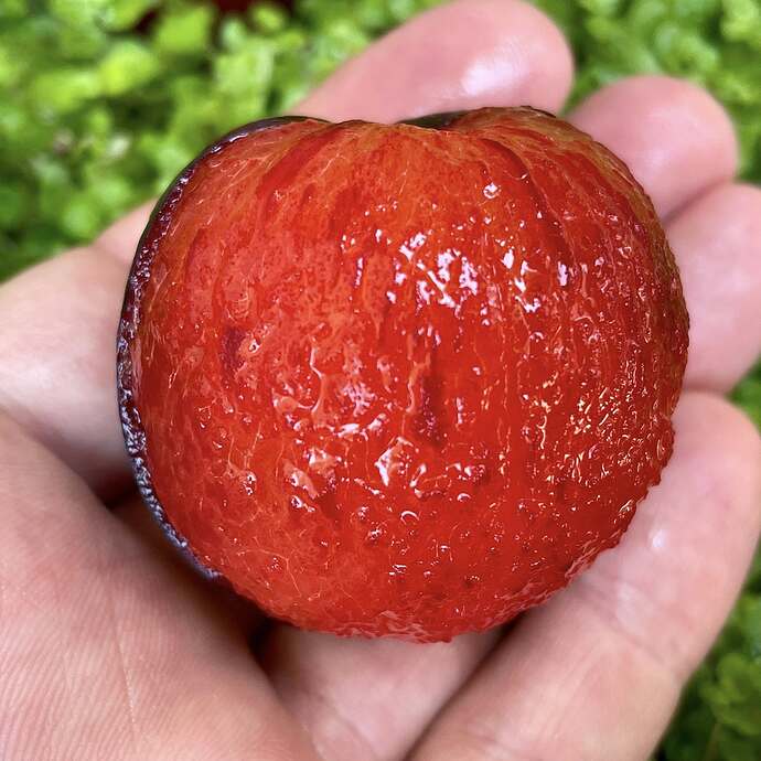 518275697_30947995824814161_2786292360551710463_n