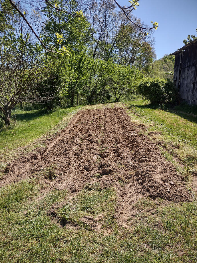 IMG_20260426_154118892_HDR
