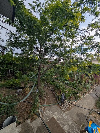 PXL_20250722_211820076