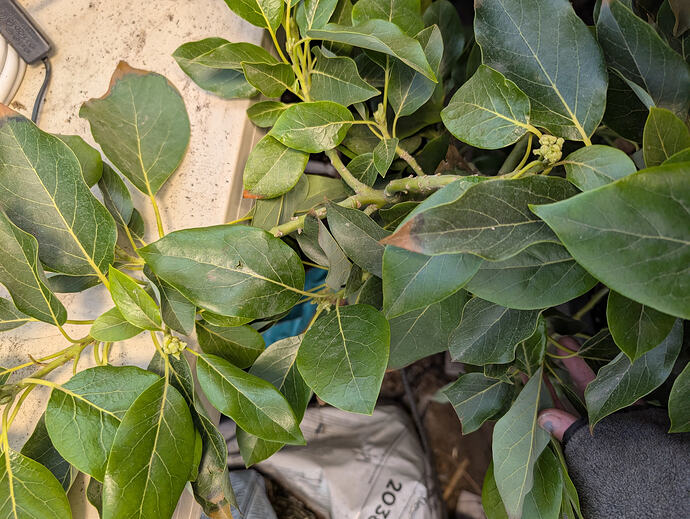 PXL_20260227_005051840