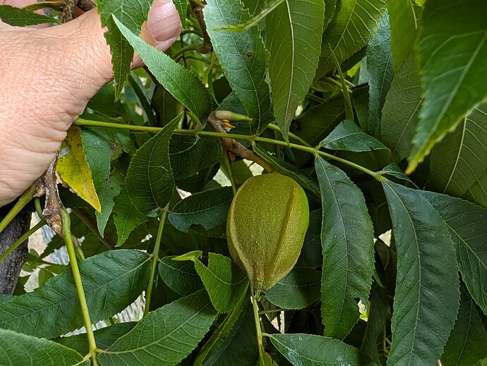 PXL_20250914_222606730