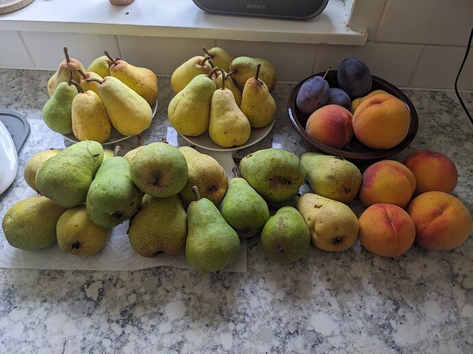 PXL_20250816_181022468